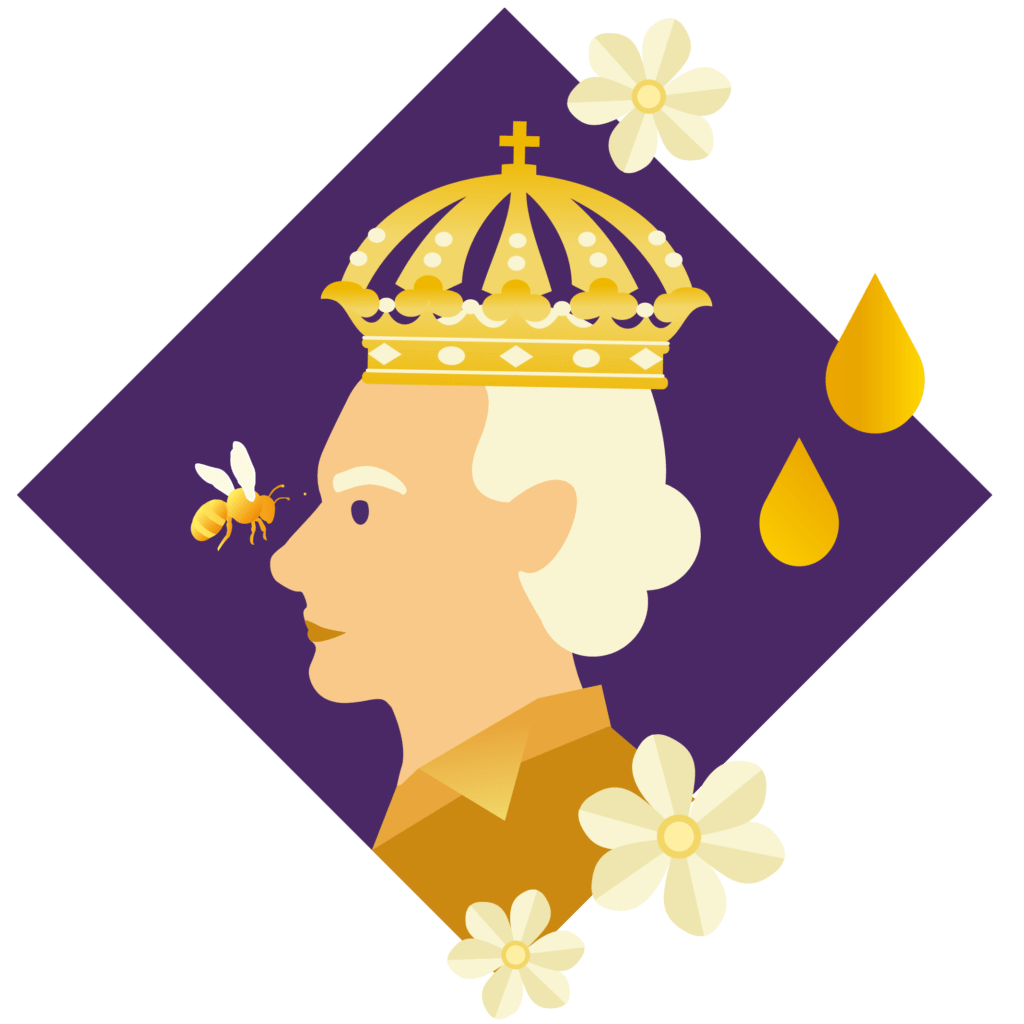Hunajakuvitus 01 1024x1024